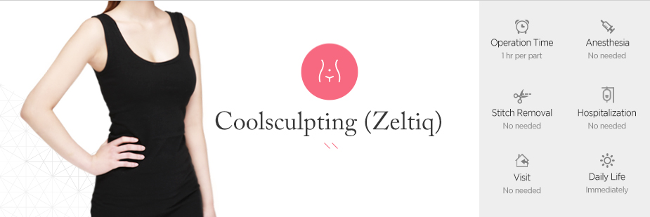 Coolsculpting (Zeltiq)  operation time - 1 hr per part / Anesthesia - No needed / Stitch Removal - No needed / Hospitalization - No needed / Visit - No needed / Dailt Life - immediately